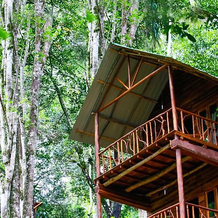 Ella Ecolodge Zewnętrze zdjęcie