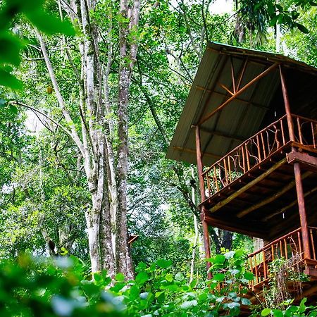 Ella Ecolodge Zewnętrze zdjęcie