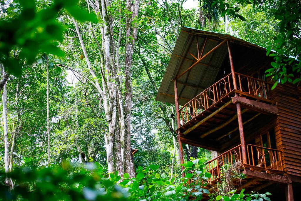 Ella Ecolodge Zewnętrze zdjęcie