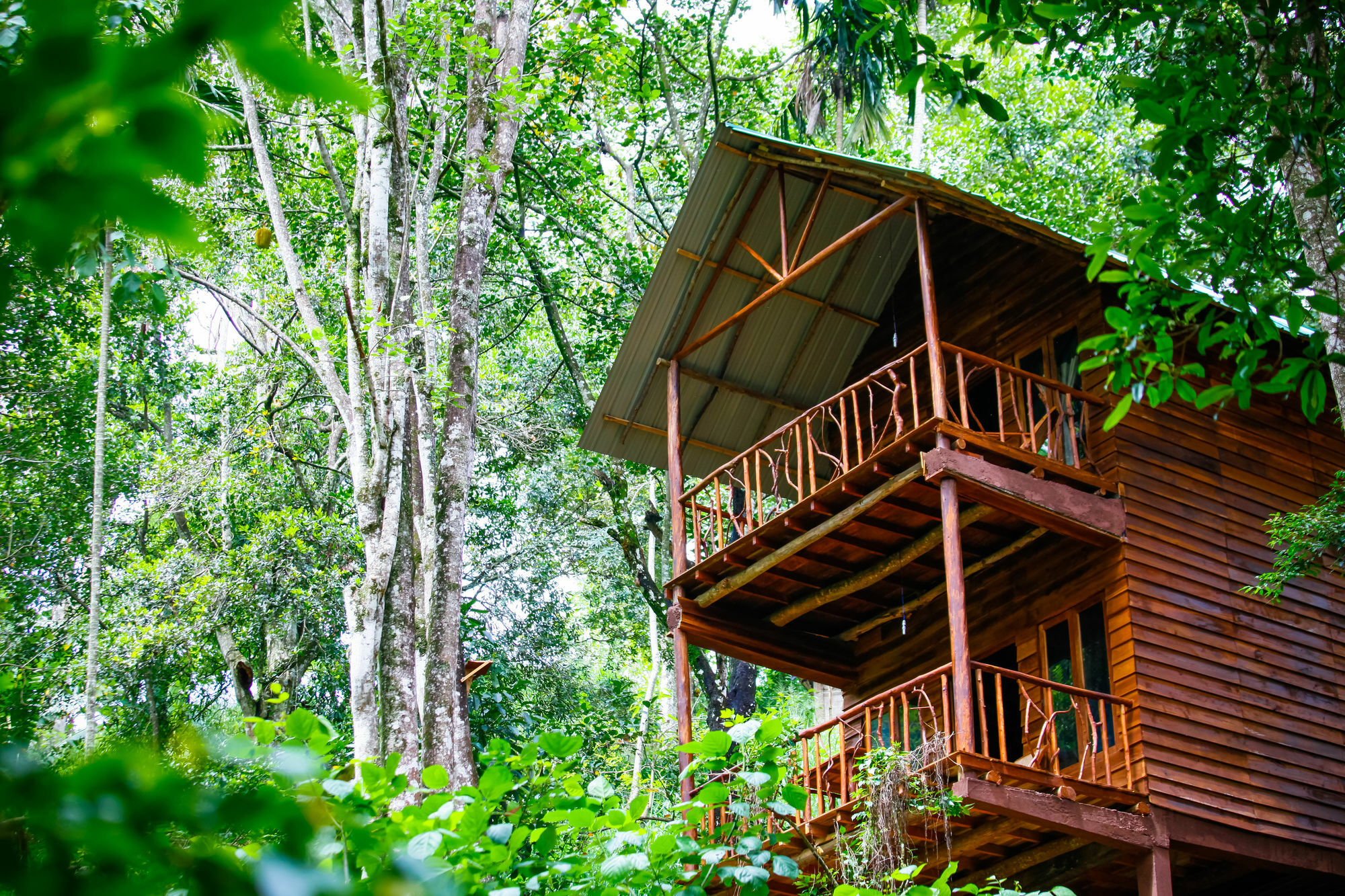 Ella Ecolodge Zewnętrze zdjęcie