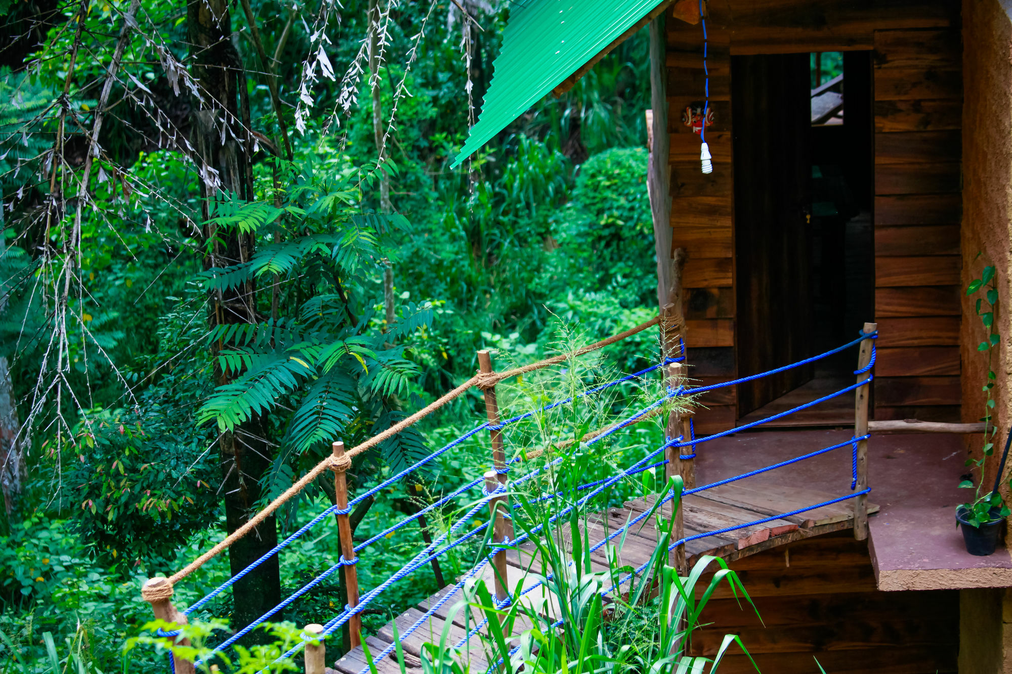 Ella Ecolodge Zewnętrze zdjęcie
