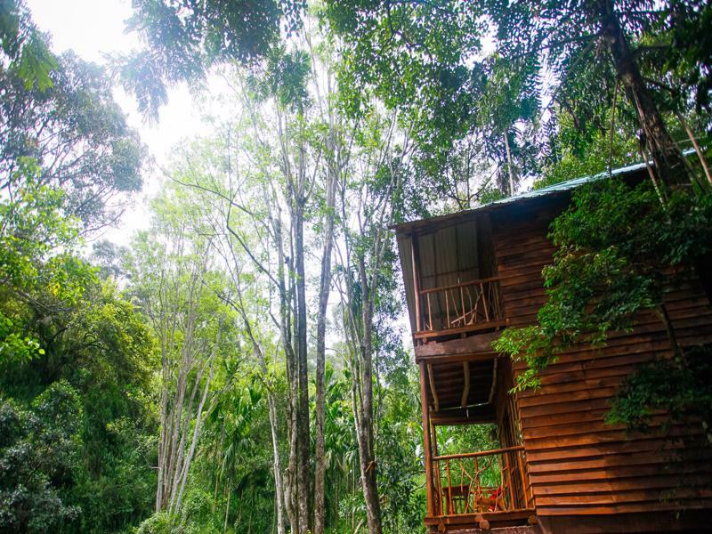 Ella Ecolodge Zewnętrze zdjęcie