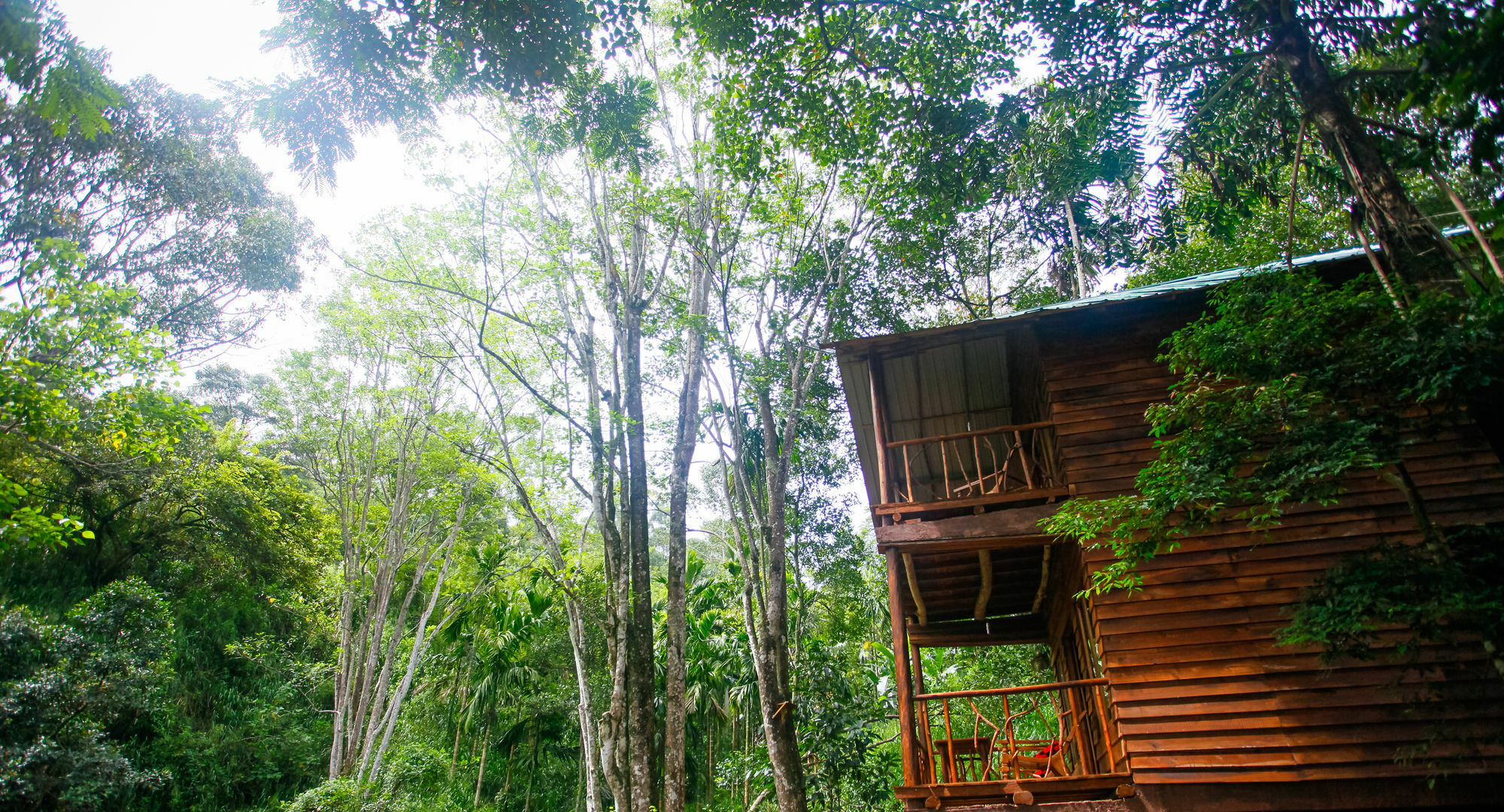 Ella Ecolodge Zewnętrze zdjęcie