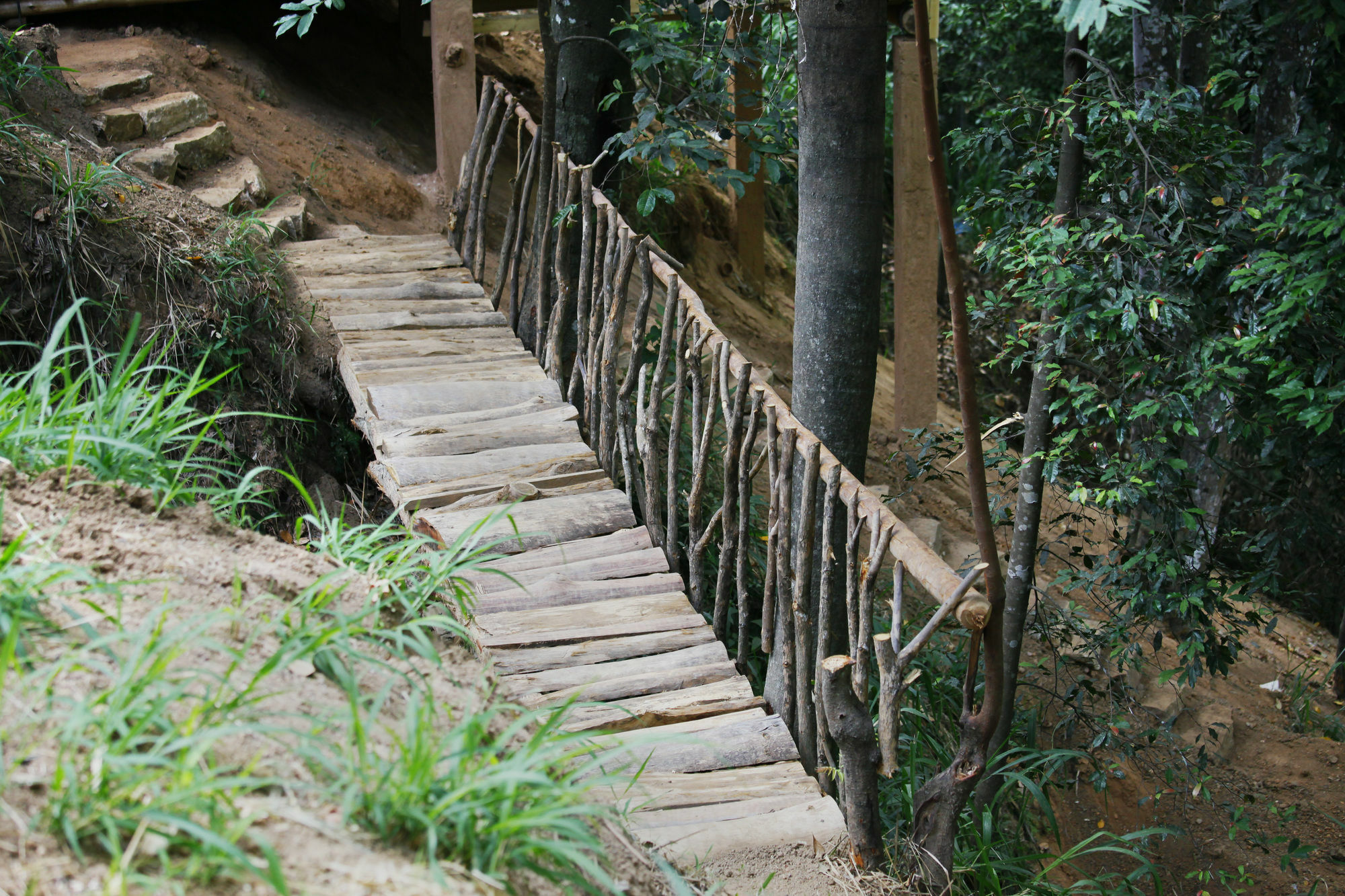 Ella Ecolodge Zewnętrze zdjęcie