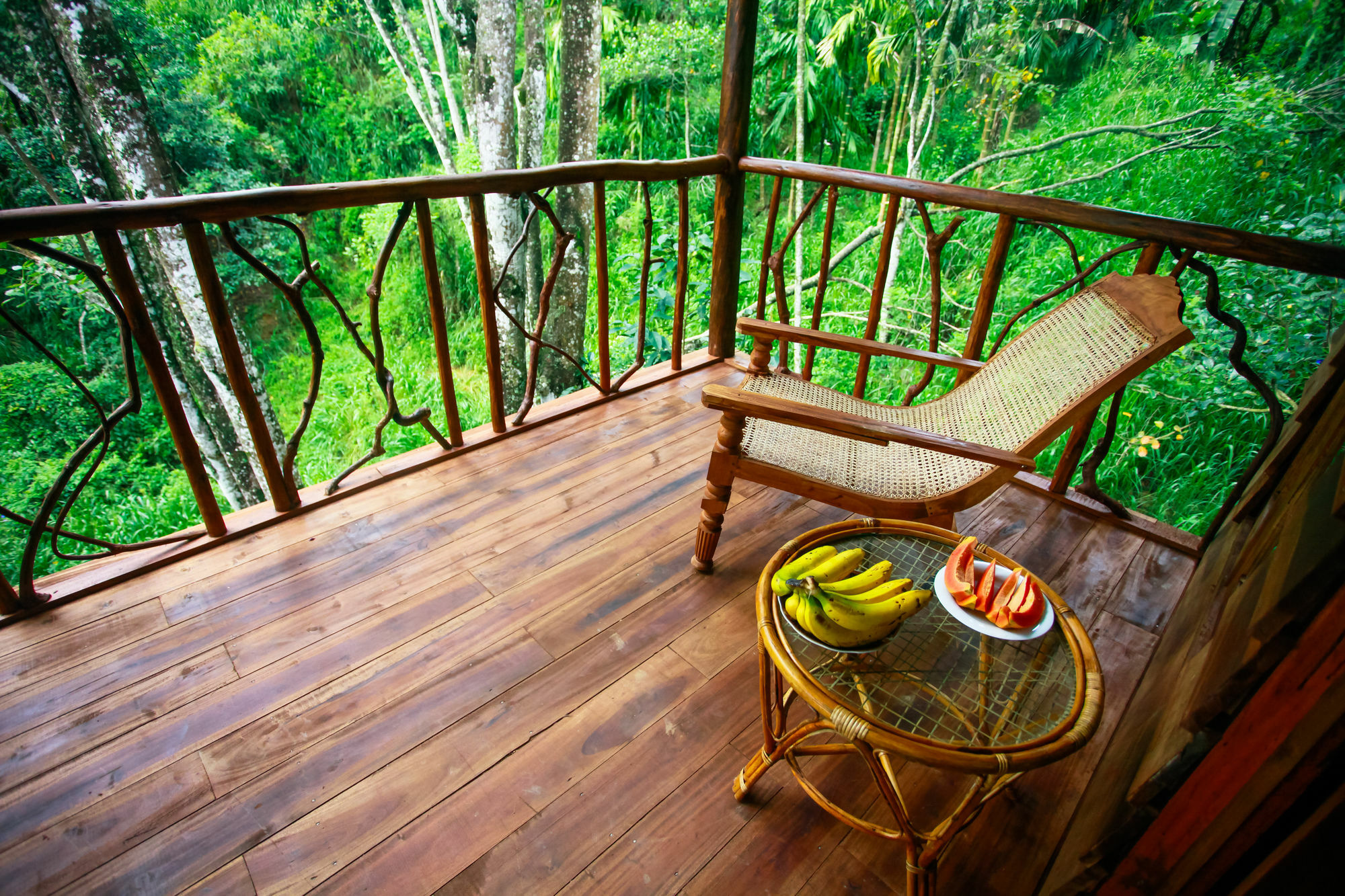 Ella Ecolodge Zewnętrze zdjęcie