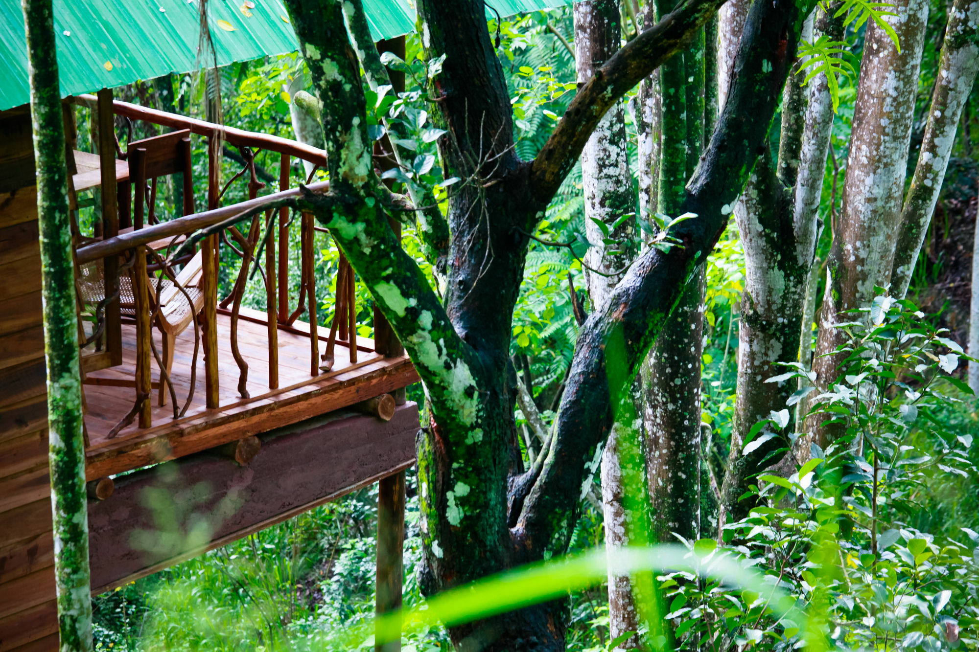 Ella Ecolodge Zewnętrze zdjęcie