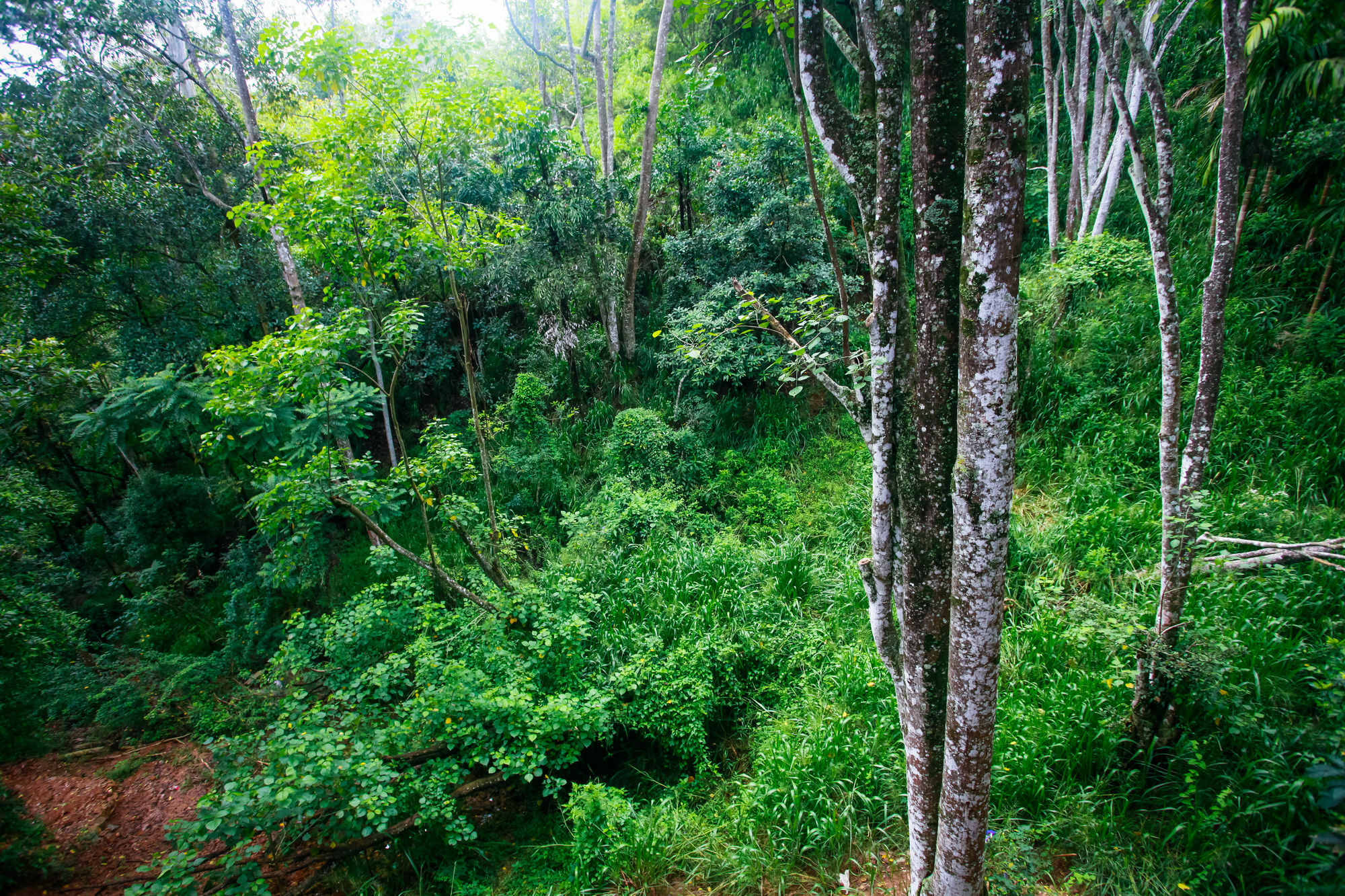 Ella Ecolodge Zewnętrze zdjęcie